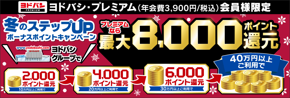 冬のステップUPボーナスポイントキャンペーン